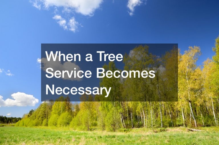 When a Tree Service Becomes Necessary
