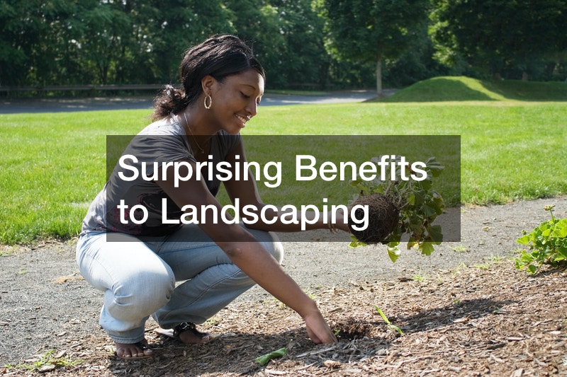 Surprising Benefits to Landscaping