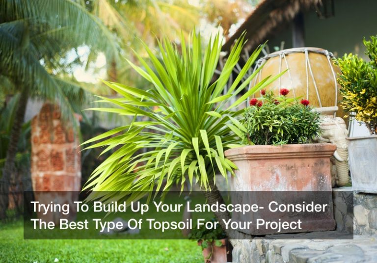Trying To Build Up Your Landscape? Consider The Best Type Of Topsoil For Your Project
