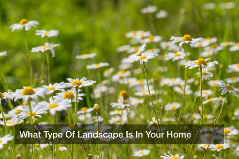 What Type Of Landscape Is In Your Home