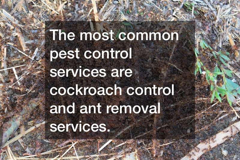 The Importance Of Quickly Hiring Affordable Pest Control At Signs Of Infestation