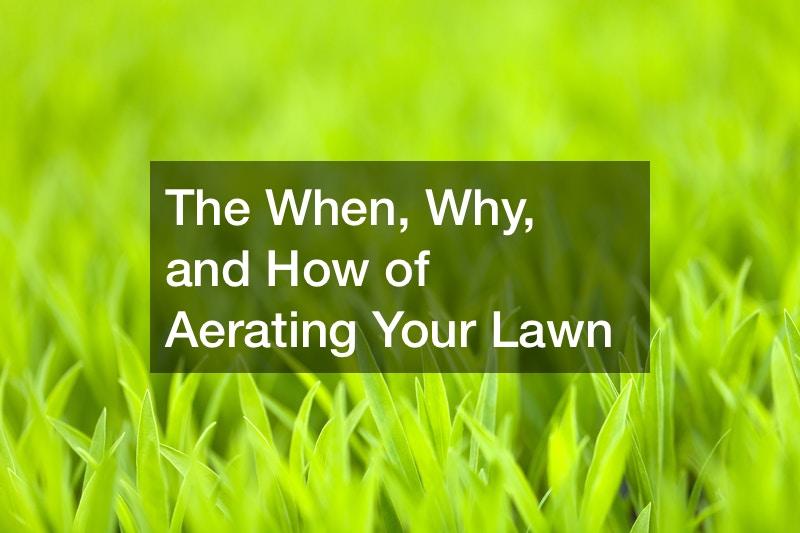 The When, Why, and How of Aerating Your Lawn