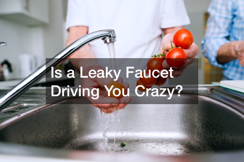 Is a Leaky Faucet Driving You Crazy?