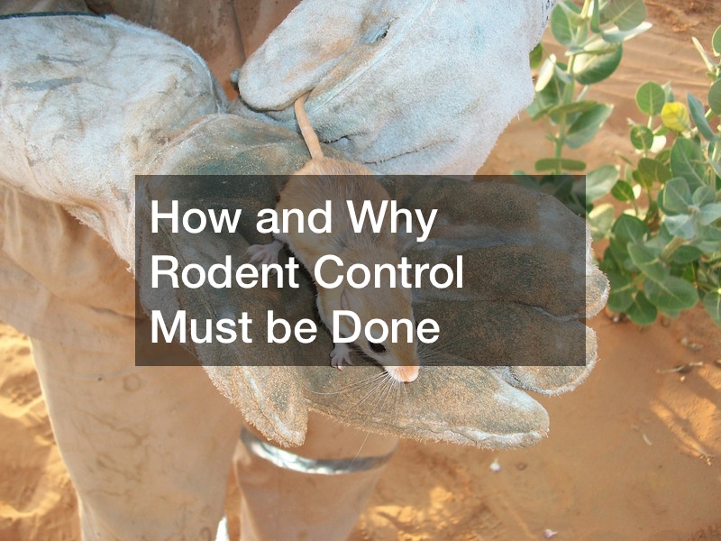 How and Why Rodent Control Must be Done