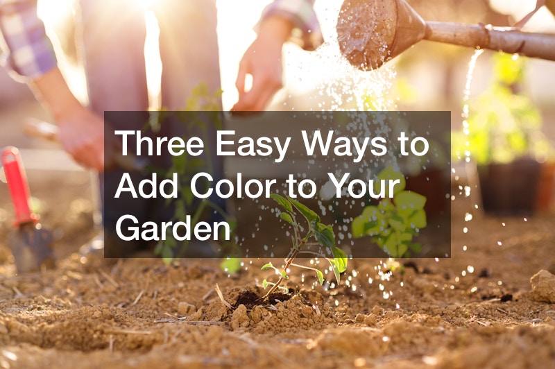 Three Easy Ways to Add Color to Your Garden