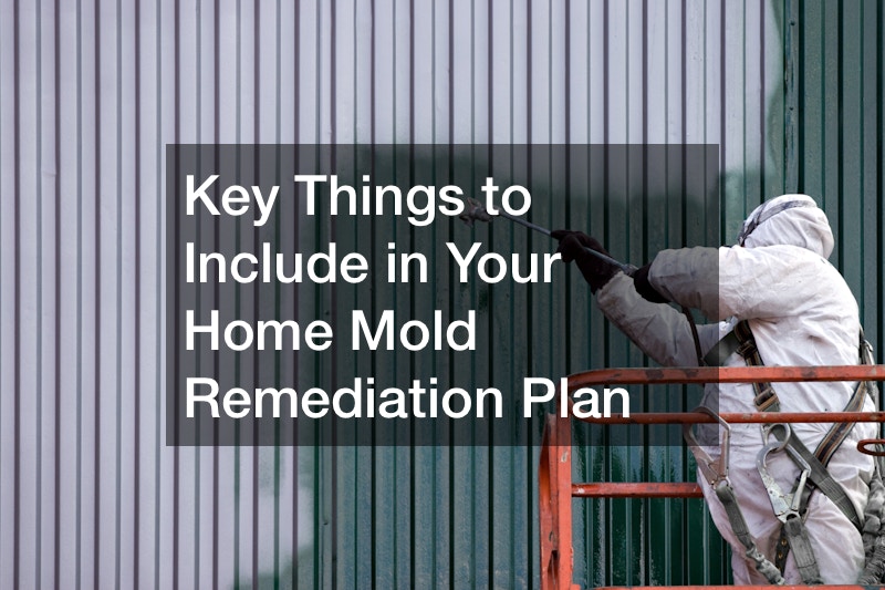 Key Things to Include in Your Home Mold Remediation Plan