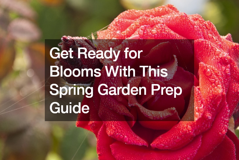 Get Ready for Blooms With This Spring Garden Prep Guide