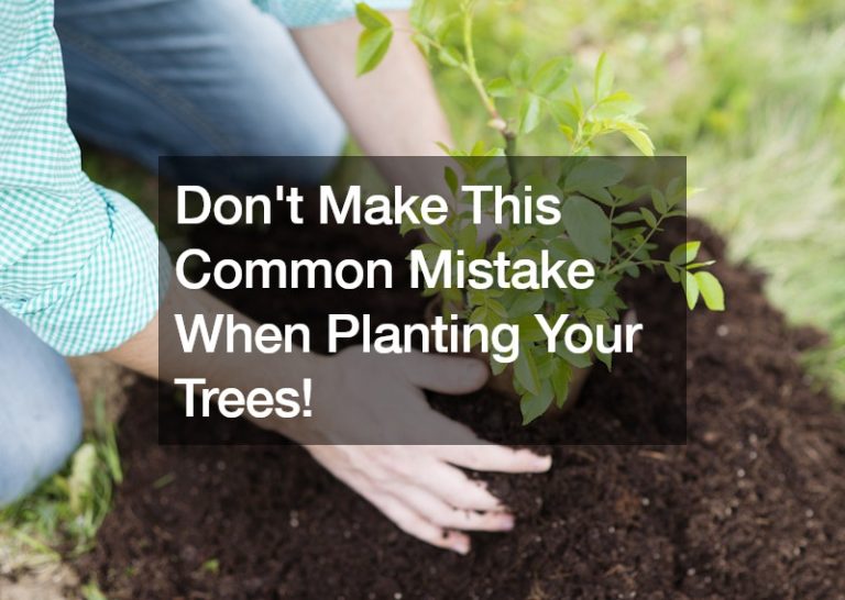 Dont Make This Common Mistake When Planting Your Trees!