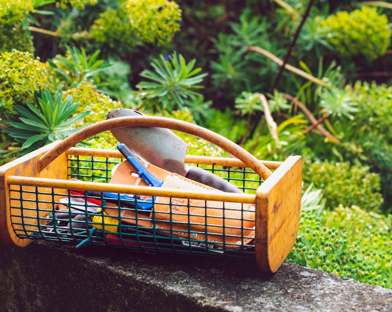 Budget-Friendly Front Yard Landscaping Ideas You Can Do on a Weekend