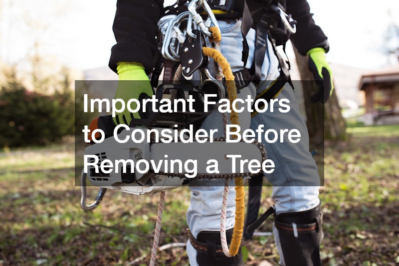 Important Factors to Consider Before Removing a Tree